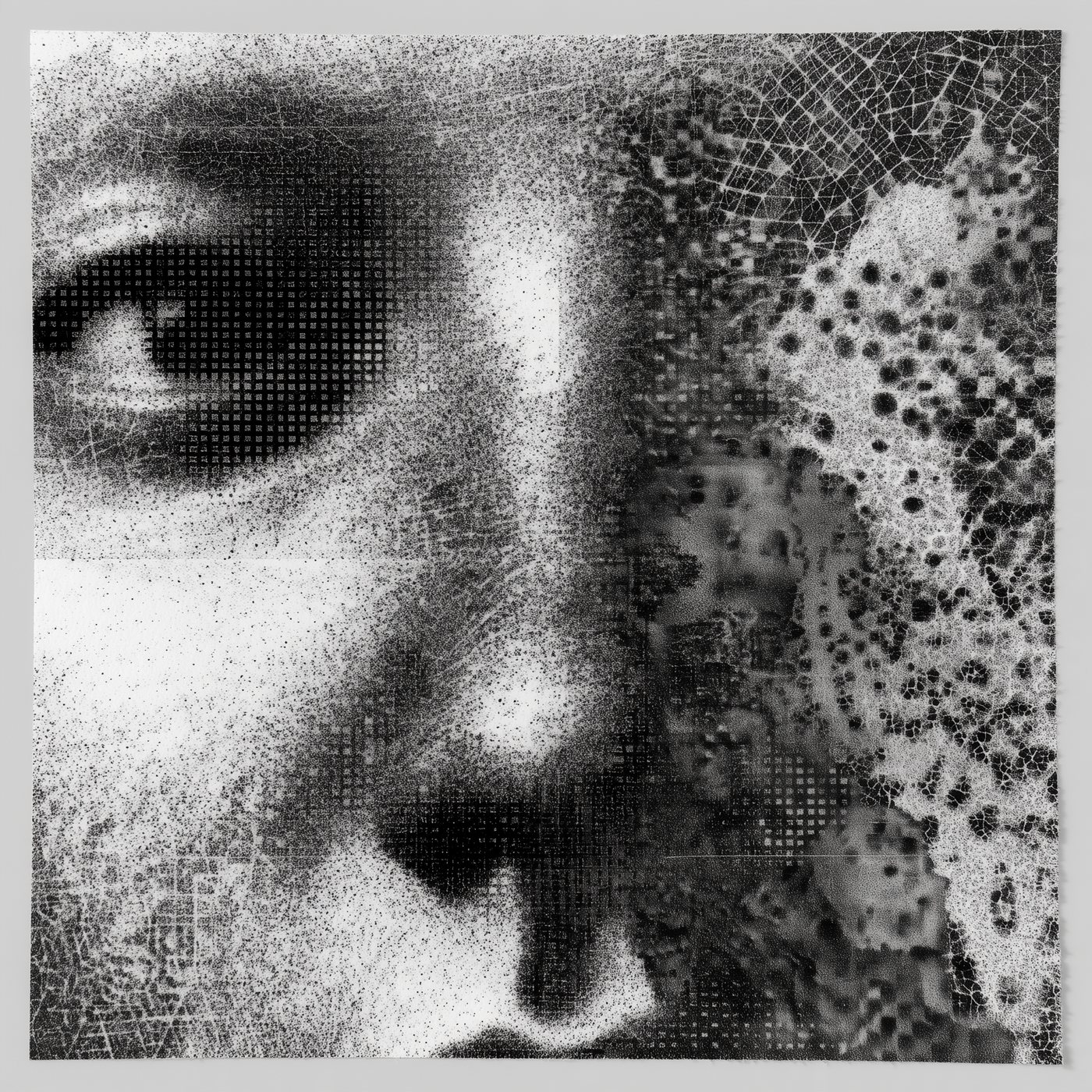TW-013 Dropped Stitch I by Tela Weft: Framed close-up of an eye and nose dissolving into lace-knit perforations and pixel dots