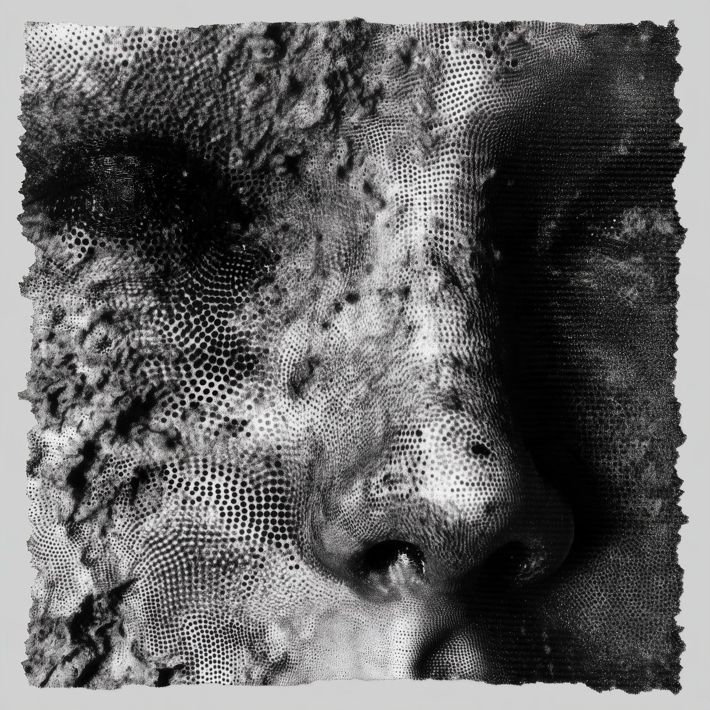 TW-014 Pointillist Veil by Tela Weft: Square textile study of a face veiled in stippled dots and eyelet voids